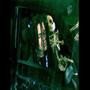 SkullCam (feat. LV*RK) [Explicit]