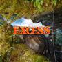 Excess