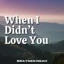 When I Didn't Love You (feat. tore xo)