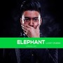 LuckyZhang - Elephant(Original Mix)