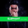 LuckyZhang - Elephant (Original Mix)