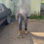 SNAPPLE (feat. Shackz) [Explicit]