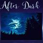 After Dark (feat. Excessive & Boo man) [Explicit]