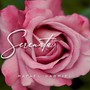 Serenata