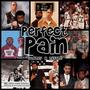 Perfect Pain (Explicit)