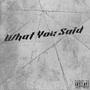 What You Said (Explicit)