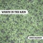 What's in the Rain