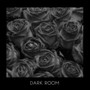 Dark Room (Explicit)