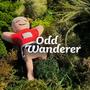 Odd Wanderer