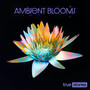 Ambient Blooms