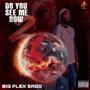 DO YOU SEE ME NOW 2 (Explicit)