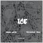 Ice (feat. Trillionaire Teezy) [Explicit]