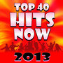 Top 40 Hits Now 2013