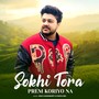 Sokhi Tora Prem Koriyo Na