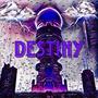 Destiny (feat. Ofa)