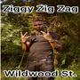 Wildwood St. (Explicit)