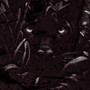 PANTERA (Explicit)