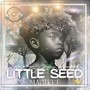 Little Seed