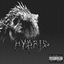 Hybrid (Explicit)