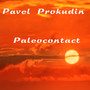 Paleocontact