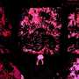 THE END: EP (Explicit)