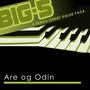 Big-5: Are og Odin