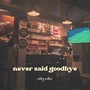 Never Said Goodbye