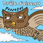 Drôle d'oiseau