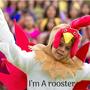 I'm A Rooster