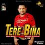 Tere Bina