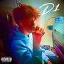 Project D1 (Explicit)