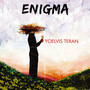 Enigma