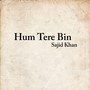 Hum Tere Bin