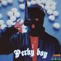 Perky boy Freestyle (Explicit)