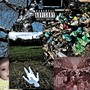 d3$7r!u<@0 (Explicit)