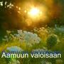 Aamuun valoisaan