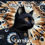 Cat Trax