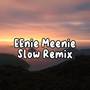 Eenie Meenie Slow Remix Inst