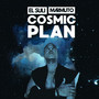 Cosmic Plan