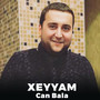 Can Bala