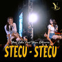 Stecu Stecu
