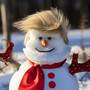 Snowman - Trump