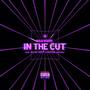 In The Cut (Slow + Reverb) [Explicit]