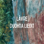 Duohta Lieđit