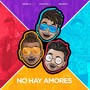 No Hay Amores (Remix)