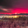 Red Ruby