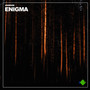 Enigma