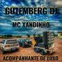 Acompanhante de Luxo (Versão Arrocha)