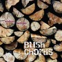 Bush Chords