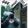 444 Angles x 222 $ides (Explicit)